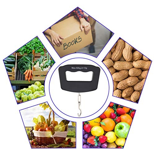 50kg Portable Handheld Digital - Fishing Hook Stainless Steel ulasan dan harga